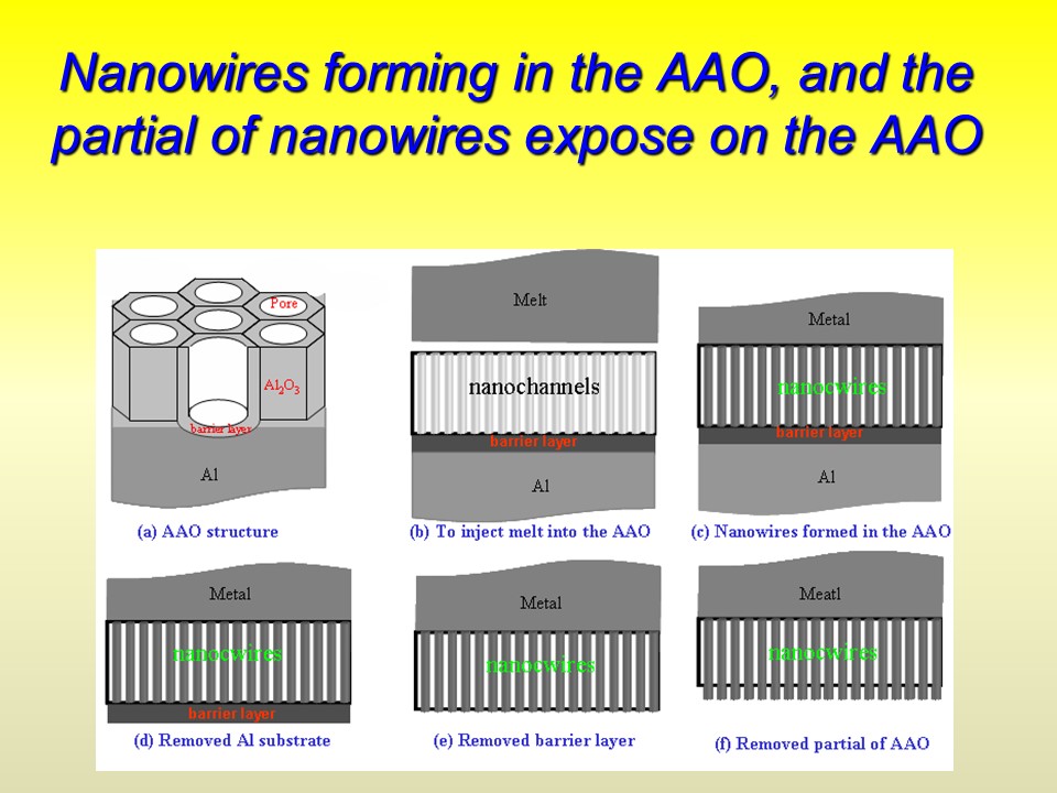 Nanowires forming in the AAO, and the partial of nanowires expose on the AAO