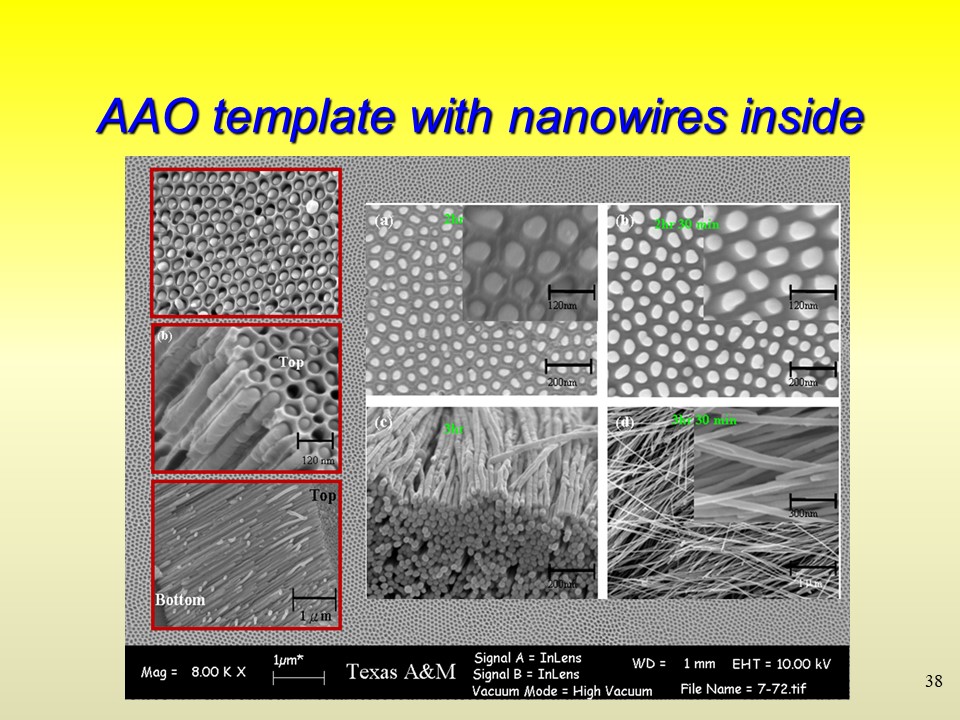 AAO template with nanowires inside