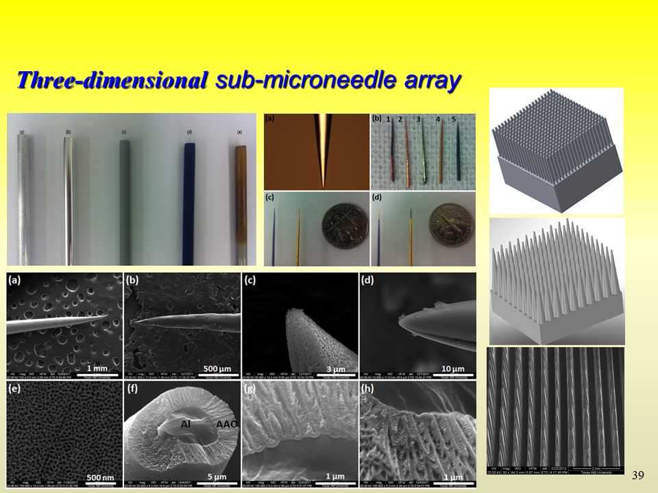 Three-dimensional sub-microneedle array
